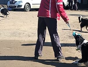 Тренировка поисково-спасательного отряда «Отклик»