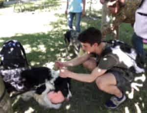 Летний лагерь 2018 - Фотоотчёт