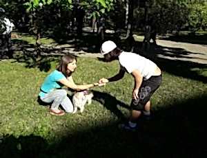 Летний лагерь 2018 - Фотоотчёт