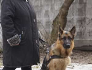 Групповые занятия