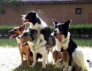 Мастер класс в рамках фестиваля «Время жить»