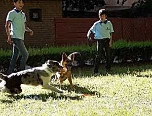 Летний лагерь 2018 - Фотоотчёт