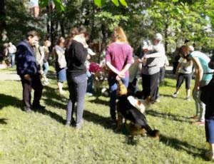 Летний лагерь 2018 - Фотоотчёт