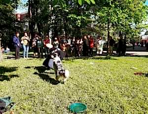 Летний лагерь 2018 - Фотоотчёт