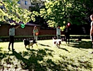 Летний лагерь 2018 - Фотоотчёт