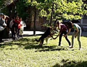 Летний лагерь 2018 - Фотоотчёт