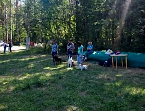 Фестивале «Верность» [ФОТО-ОТЧЁТ]