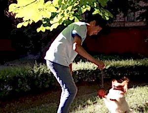 Летний лагерь 2018 - Фотоотчёт