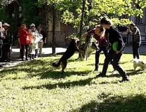 Летний лагерь 2018 - Фотоотчёт