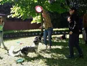 Летний лагерь 2018 - Фотоотчёт