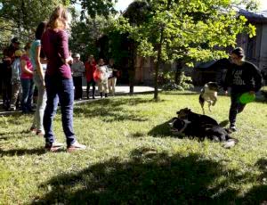 Летний лагерь 2018 - Фотоотчёт