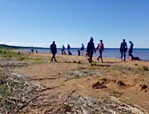 Летний лагерь 2017