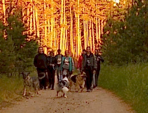 Летний лагерь 2017