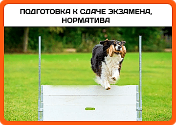 Подготовка к сдаче норматива