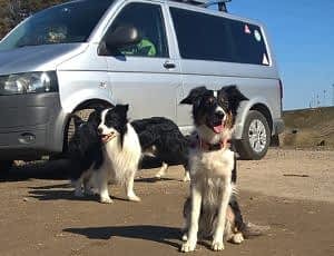 Тренировка поисково-спасательного отряда «Отклик»