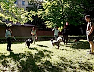 Летний лагерь 2018 - Фотоотчёт