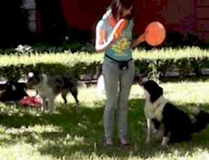 Летний лагерь 2018 - Фотоотчёт