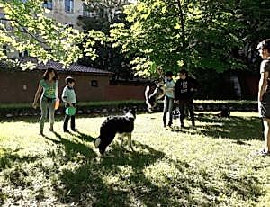 Летний лагерь 2018 - Фотоотчёт