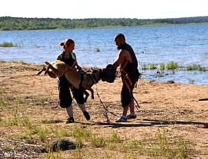 Летний лагерь 2017