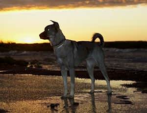 Летний лагерь 2017