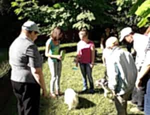 Летний лагерь 2018 - Фотоотчёт