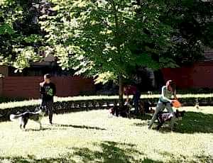 Летний лагерь 2018 - Фотоотчёт