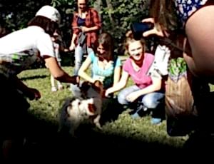 Летний лагерь 2018 - Фотоотчёт