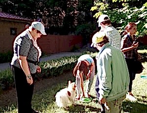 Летний лагерь 2018 - Фотоотчёт