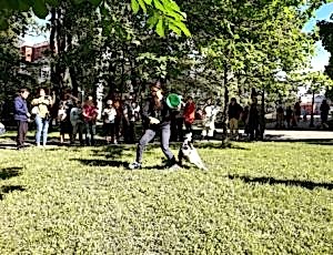 Летний лагерь 2018 - Фотоотчёт