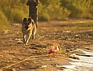 Летний лагерь 2017