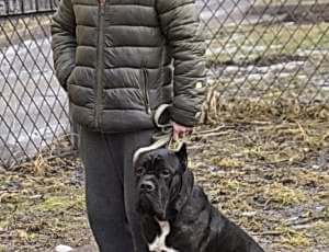 Групповые занятия