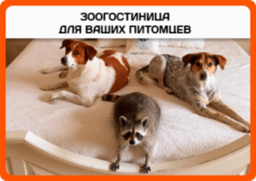 Зоогостиница