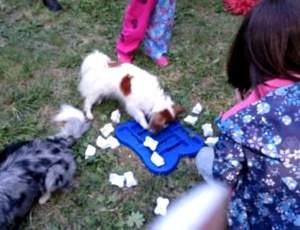 Фестивале «Верность» [ФОТО-ОТЧЁТ]