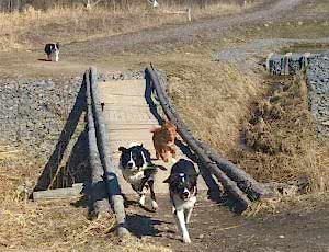 Тренировка поисково-спасательного отряда «Отклик»