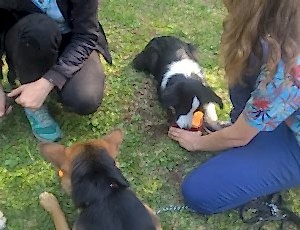 Летний лагерь 2018 - Фотоотчёт