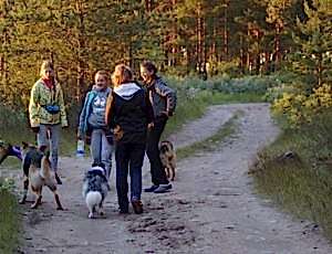 Летний лагерь 2017