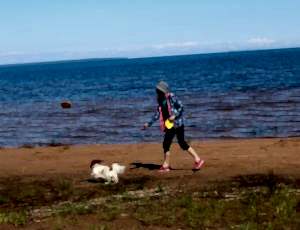 Летний лагерь 2017