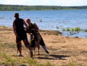 Летний лагерь 2017