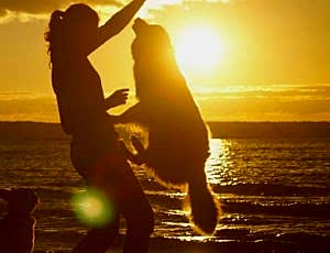 Летний лагерь 2017