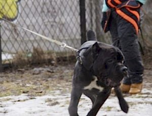 Групповые занятия