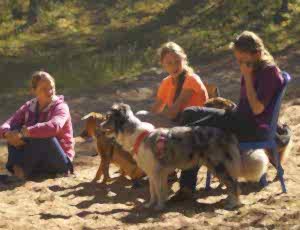 Летний лагерь 2017