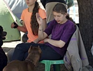 Летний лагерь 2017