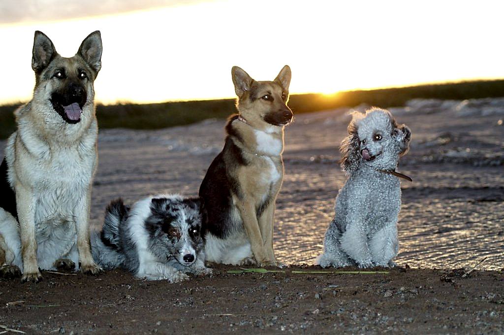 заниматься индивидуально или в группе