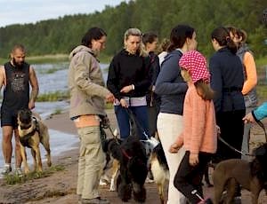 Летний лагерь 2017