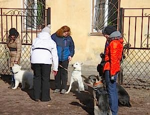 Групповые занятия