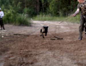 Летний лагерь 2017