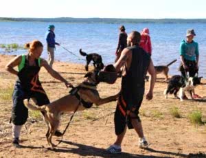 Летний лагерь 2017