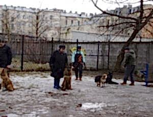 Групповые занятия