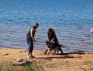 Летний лагерь 2017