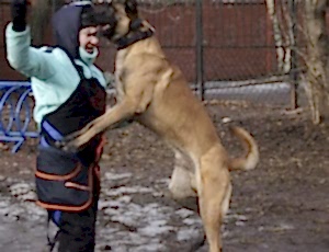 Групповые занятия